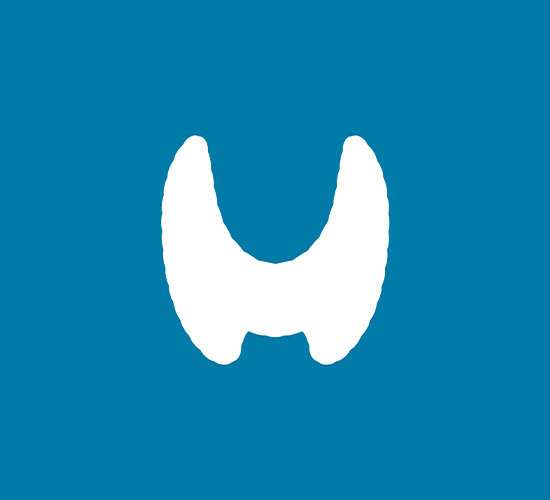 thyroid doctor